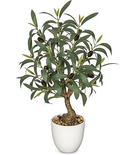 Amazon｜アートクリエイション(Art Creation) 光触媒 人工観葉植物 光